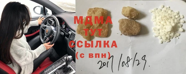 PSILOCYBIN Алзамай