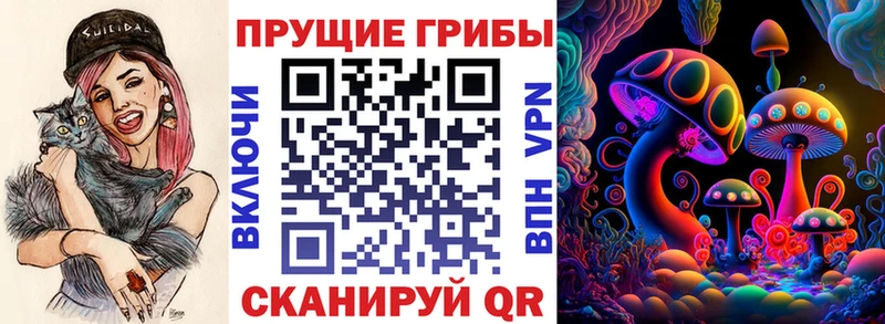купить наркотики цена  Шацк  Псилоцибиновые грибы прущие грибы 